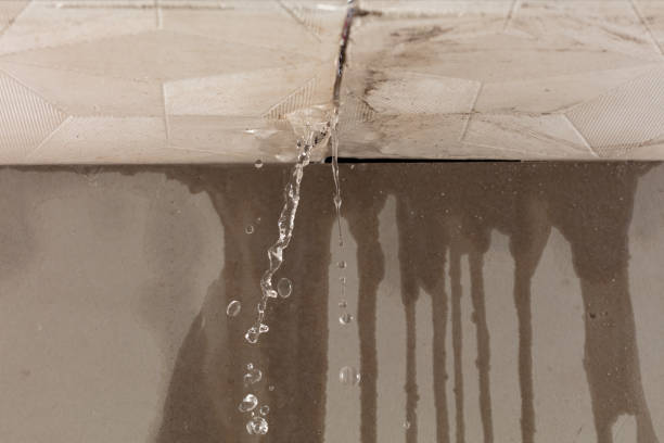 Professional Structural Drying technician working in Castalia, OH